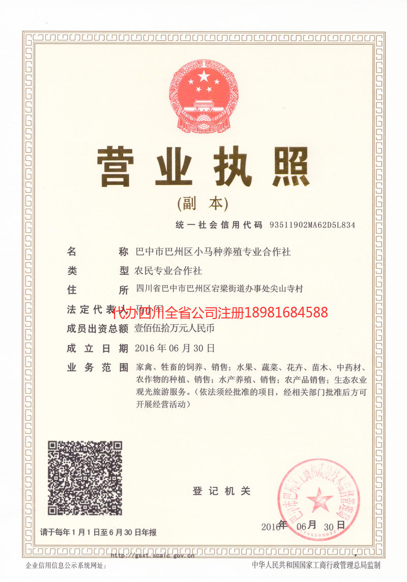 泊头泊头小马种养殖专业合作社